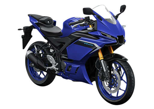 Yamaha YZF R25